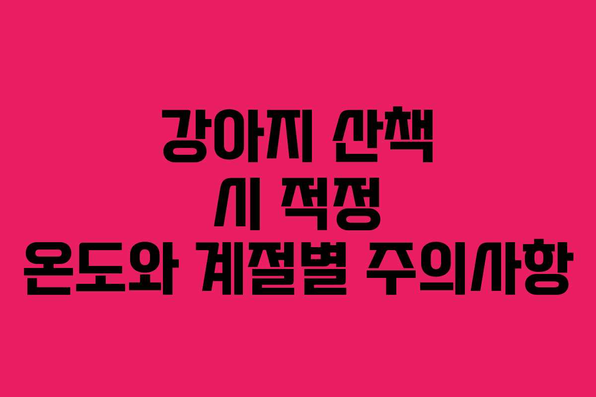 강아지 산책 시 적정 온도와 계절별 주의사항