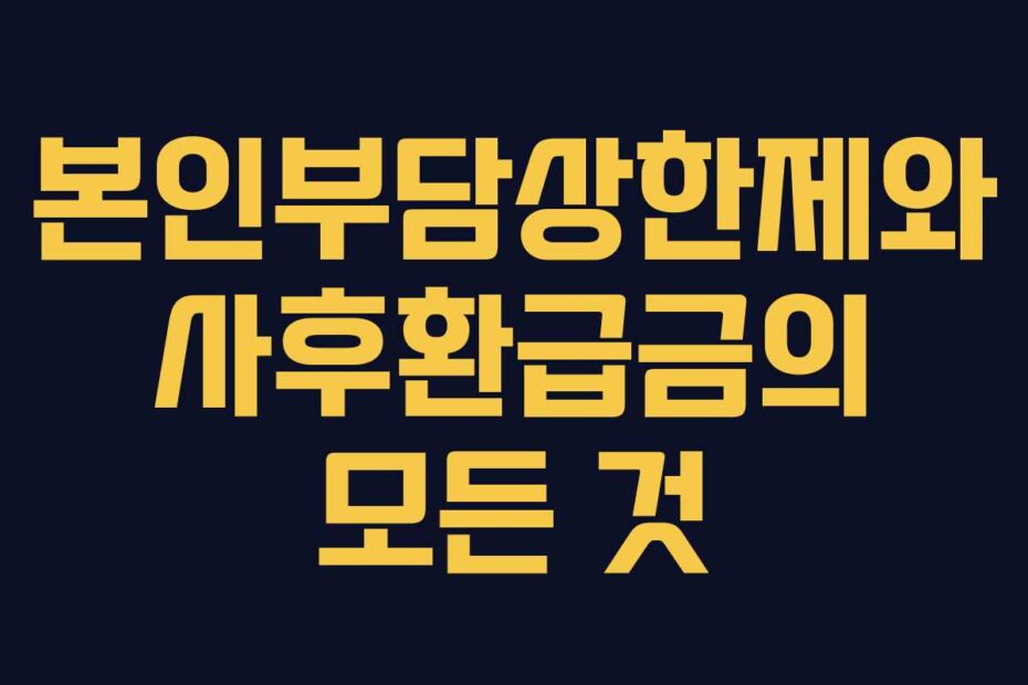 본인부담상한제와-사후환급금의-모든-것