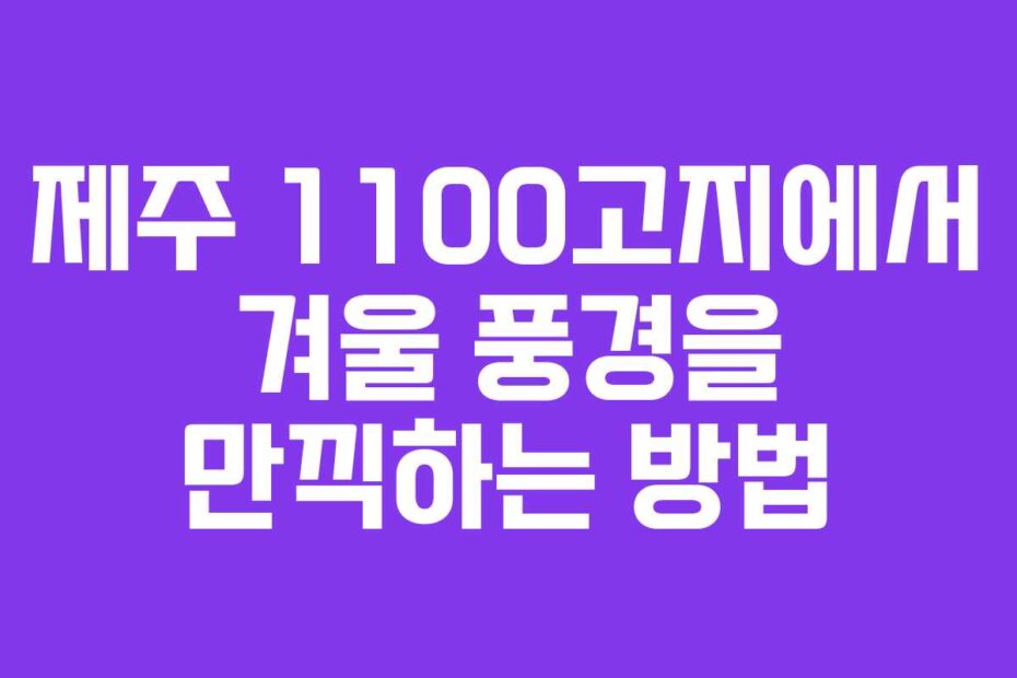 제주-1100고지에서-겨울-풍경을-만끽하는-방법