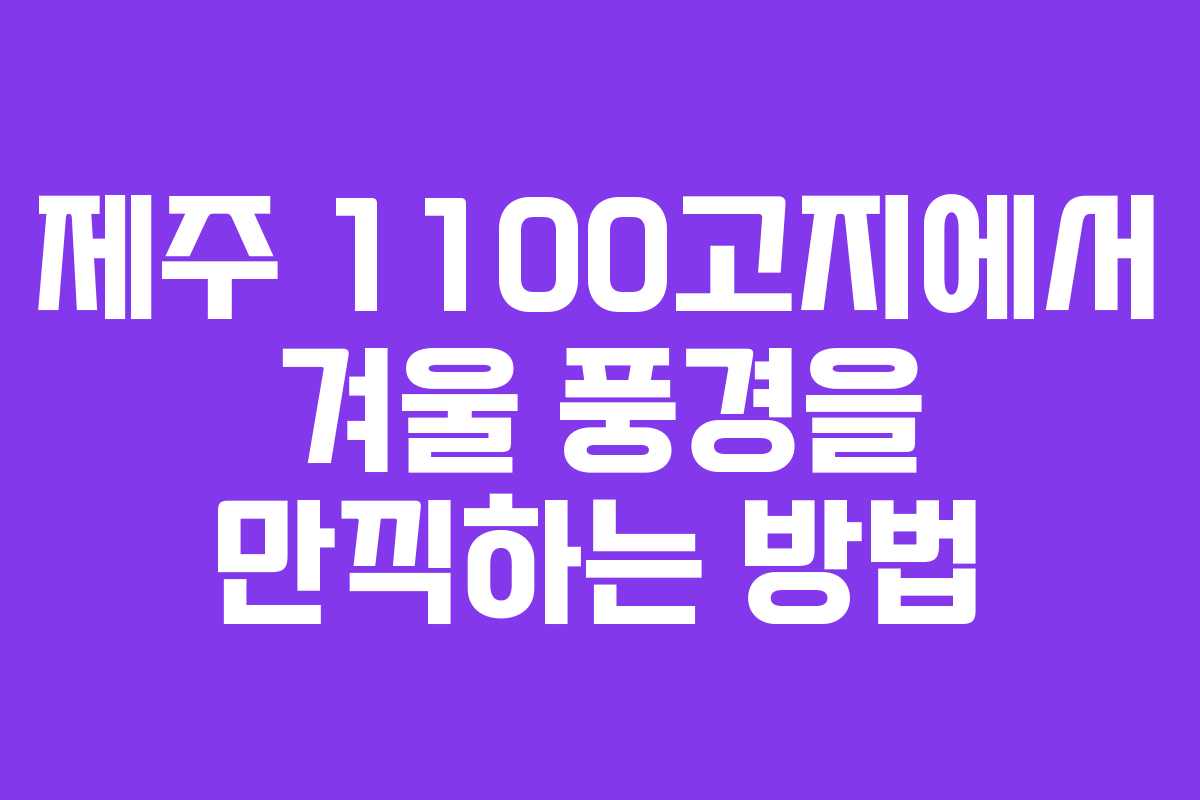 제주 1100고지에서 겨울 풍경을 만끽하는 방법
