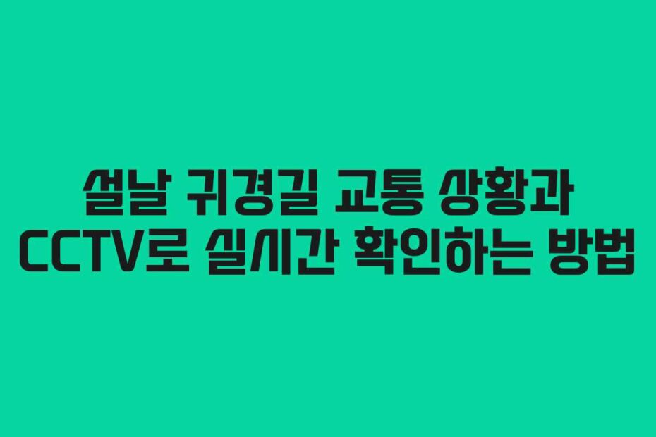 설날-귀경길-교통-상황과-CCTV로-실시간-확인하는-방법