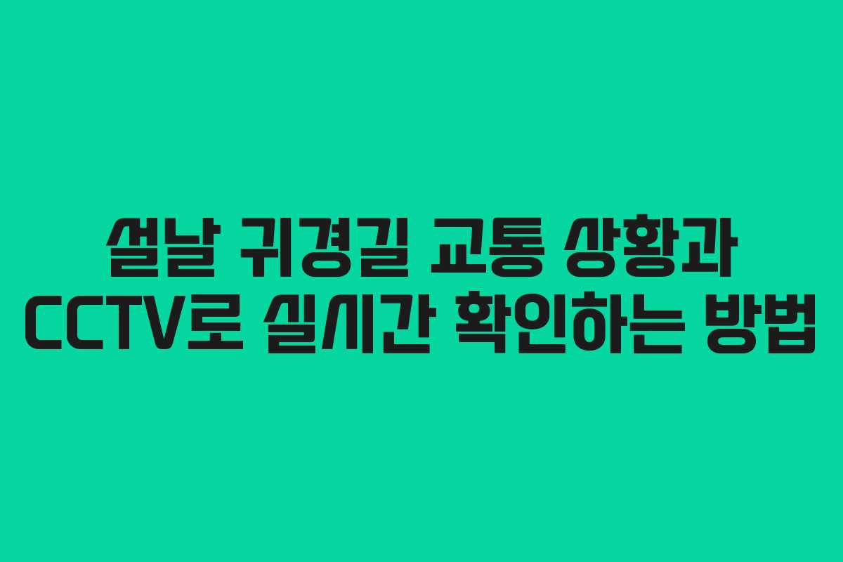 설날 귀경길 교통 상황과 CCTV로 실시간 확인하는 방법