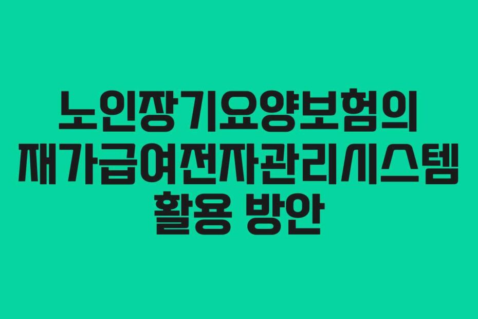 노인장기요양보험의-재가급여전자관리시스템-활용-방안