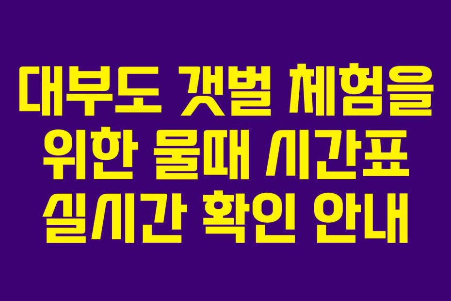 대부도-갯벌-체험을-위한-물때-시간표-실시간-확인-안내