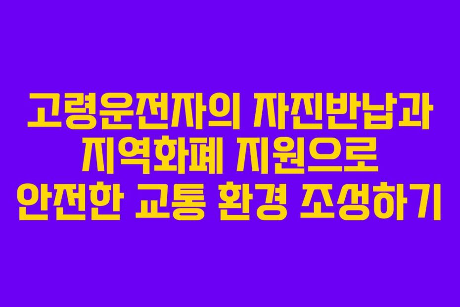 고령운전자의-자진반납과-지역화폐-지원으로-안전한-교통-환경-조성하기