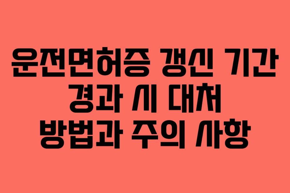 운전면허증-갱신-기간-경과-시-대처-방법과-주의-사항