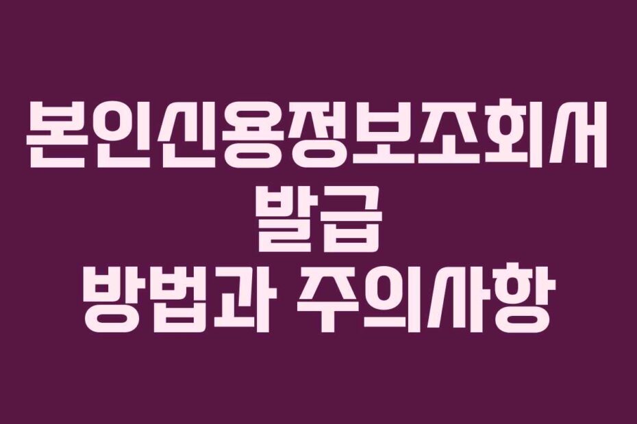 본인신용정보조회서-발급-방법과-주의사항
