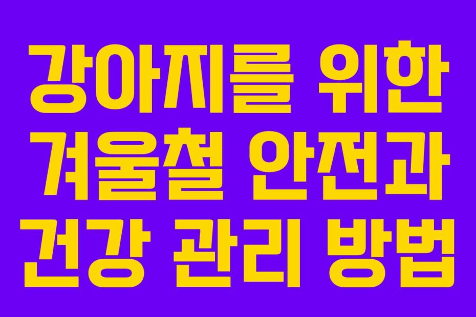 강아지를-위한-겨울철-안전과-건강-관리-방법