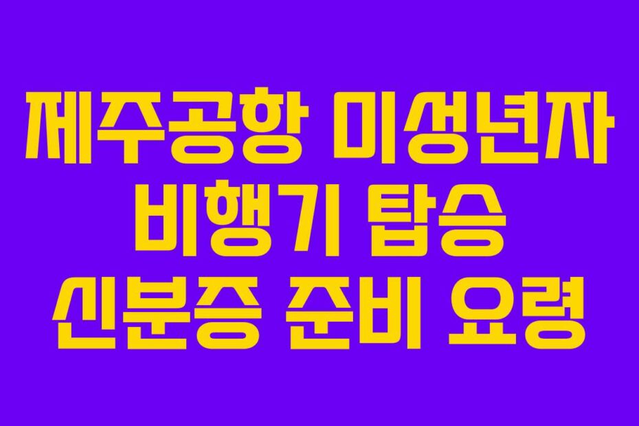 제주공항-미성년자-비행기-탑승-신분증-준비-요령