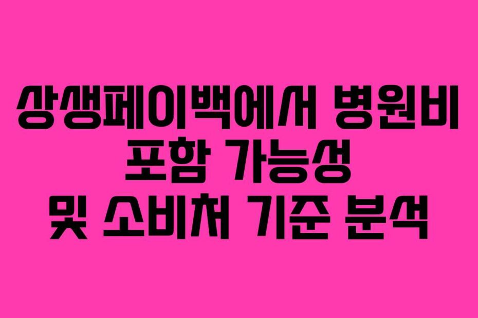 상생페이백에서-병원비-포함-가능성-및-소비처-기준-분석