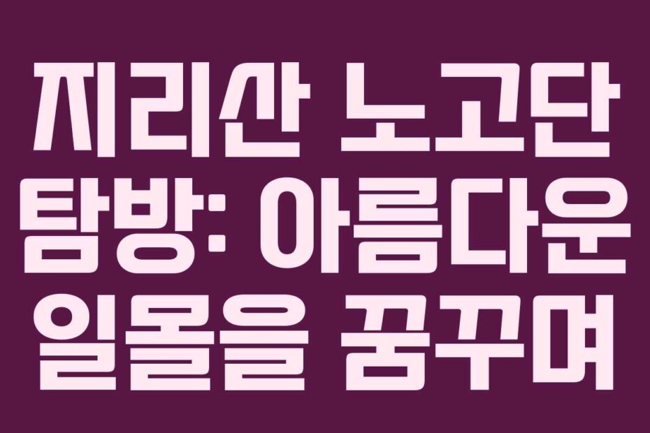 지리산-노고단-탐방-아름다운-일몰을-꿈꾸며