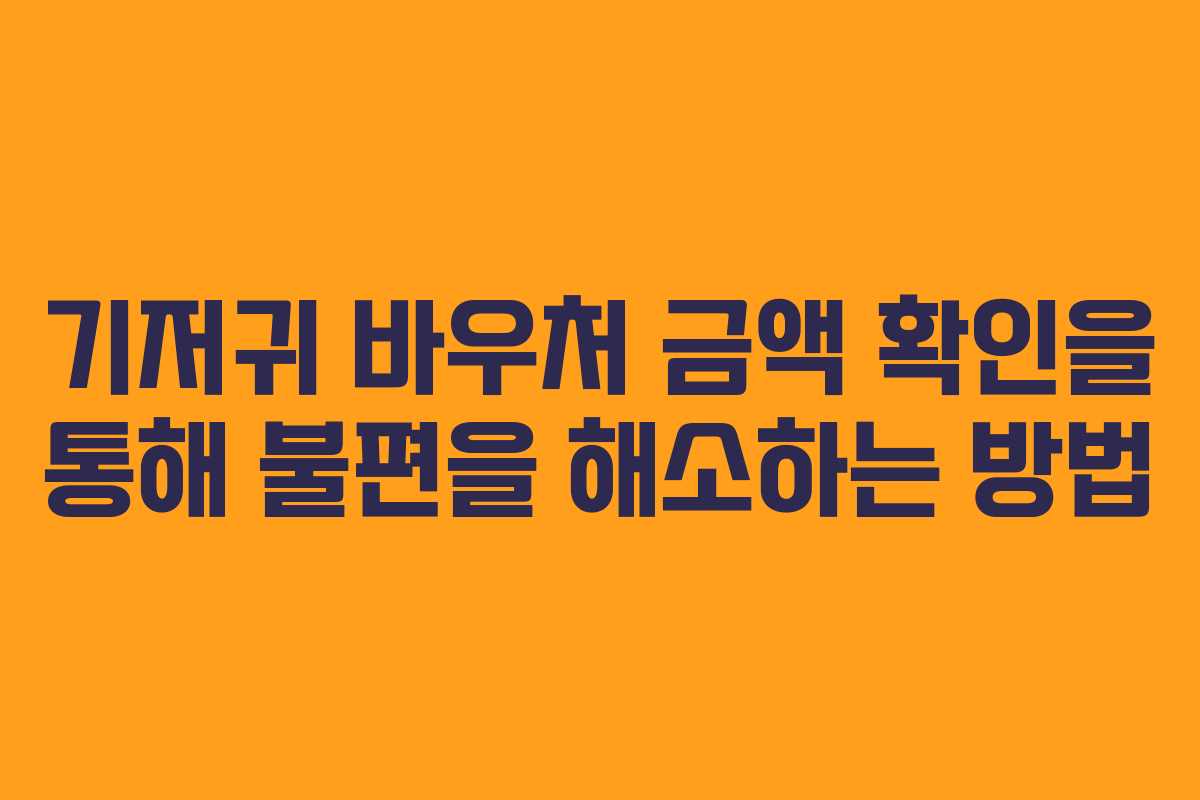 기저귀 바우처 금액 확인을 통해 불편을 해소하는 방법