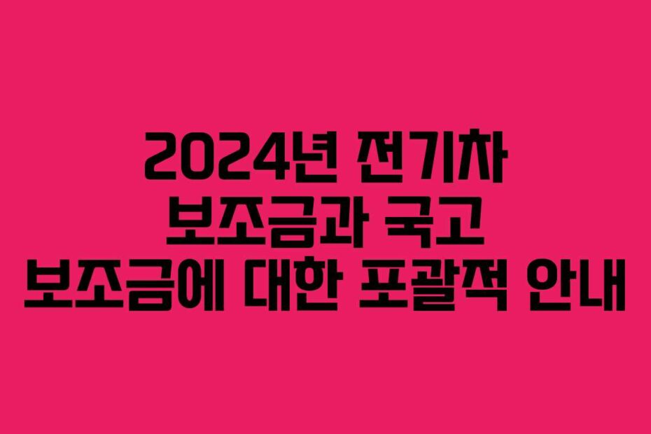 2024년-전기차-보조금과-국고-보조금에-대한-포괄적-안내