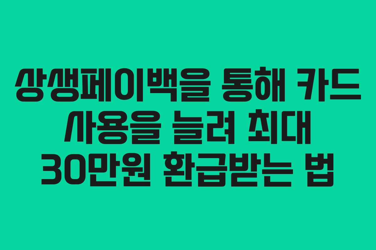 상생페이백을 통해 카드 사용을 늘려 최대 30만원 환급받는 법