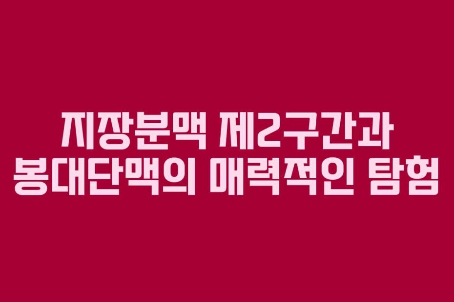 지장분맥-제2구간과-봉대단맥의-매력적인-탐험