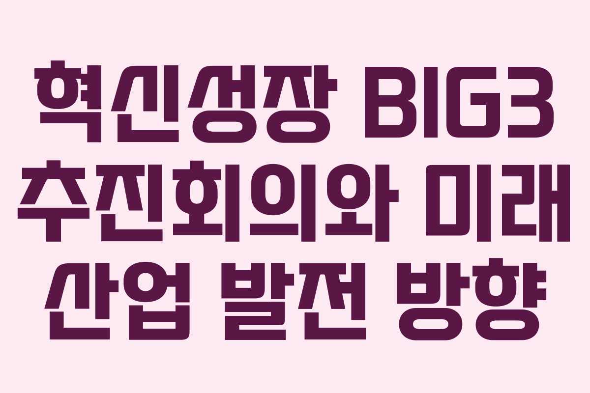 혁신성장 BIG3 추진회의와 미래 산업 발전 방향