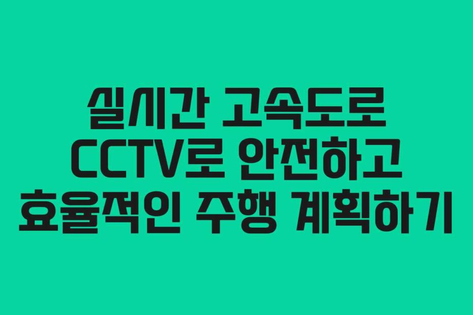 실시간-고속도로-CCTV로-안전하고-효율적인-주행-계획하기