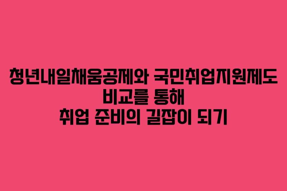 청년내일채움공제와-국민취업지원제도-비교를-통해-취업-준비의-길잡이-되기