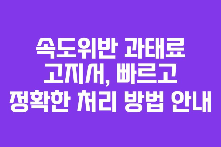 속도위반-과태료-고지서,-빠르고-정확한-처리-방법-안내