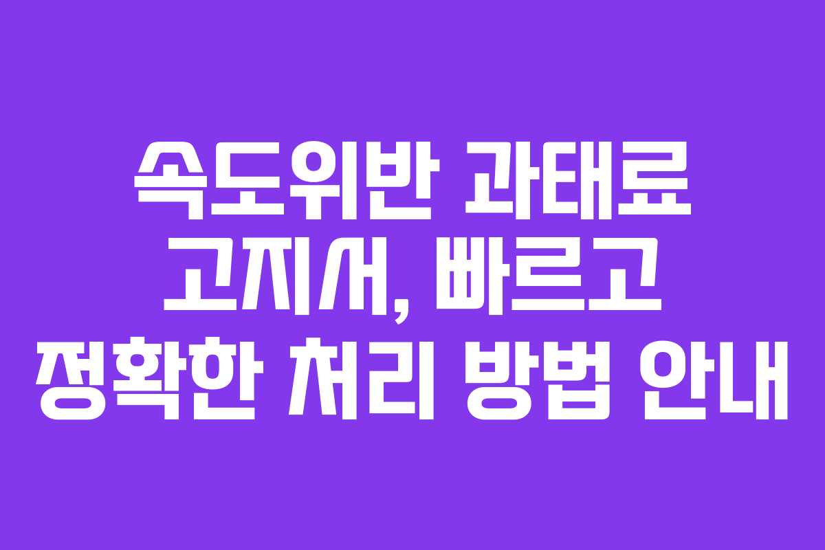 속도위반 과태료 고지서, 빠르고 정확한 처리 방법 안내
