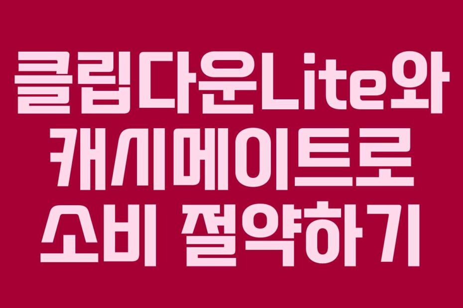 클립다운Lite와-캐시메이트로-소비-절약하기