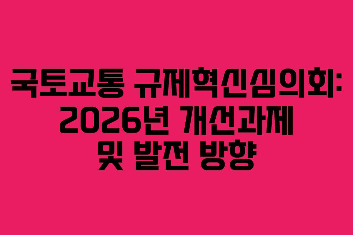 국토교통 규제혁신심의회: 2026년 개선과제 및 발전 방향