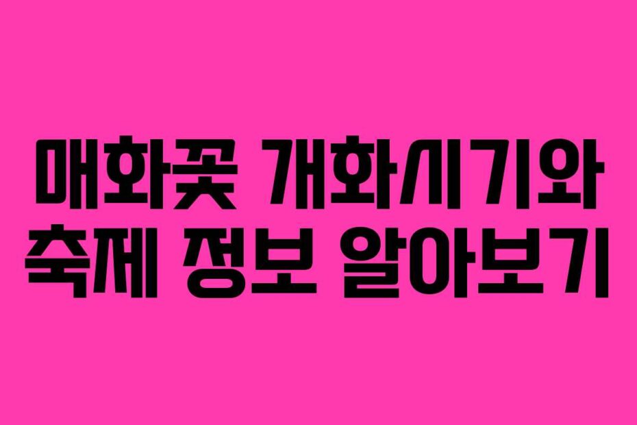 매화꽃-개화시기와-축제-정보-알아보기
