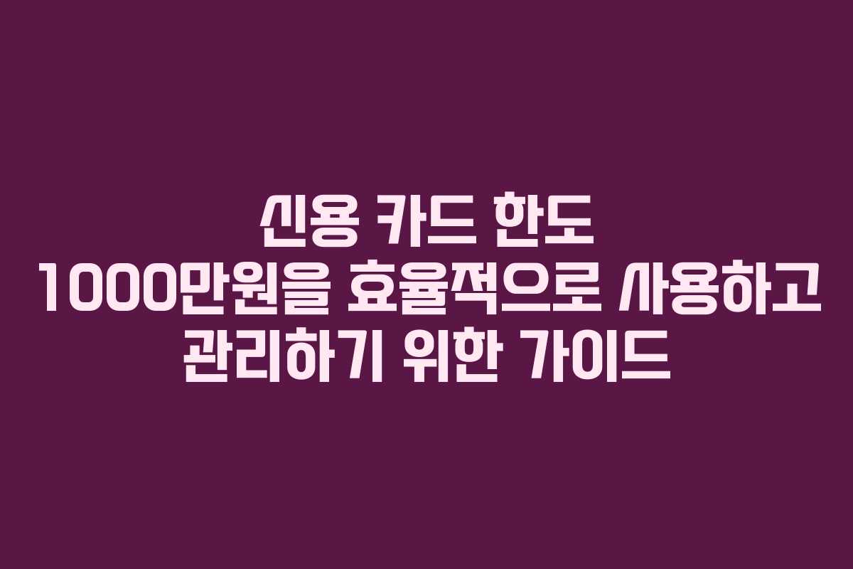 신용 카드 한도 1000만원을 효율적으로 사용하고 관리하기 위한 가이드
