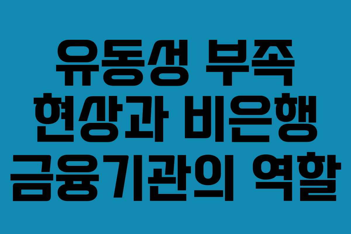 유동성 부족 현상과 비은행 금융기관의 역할