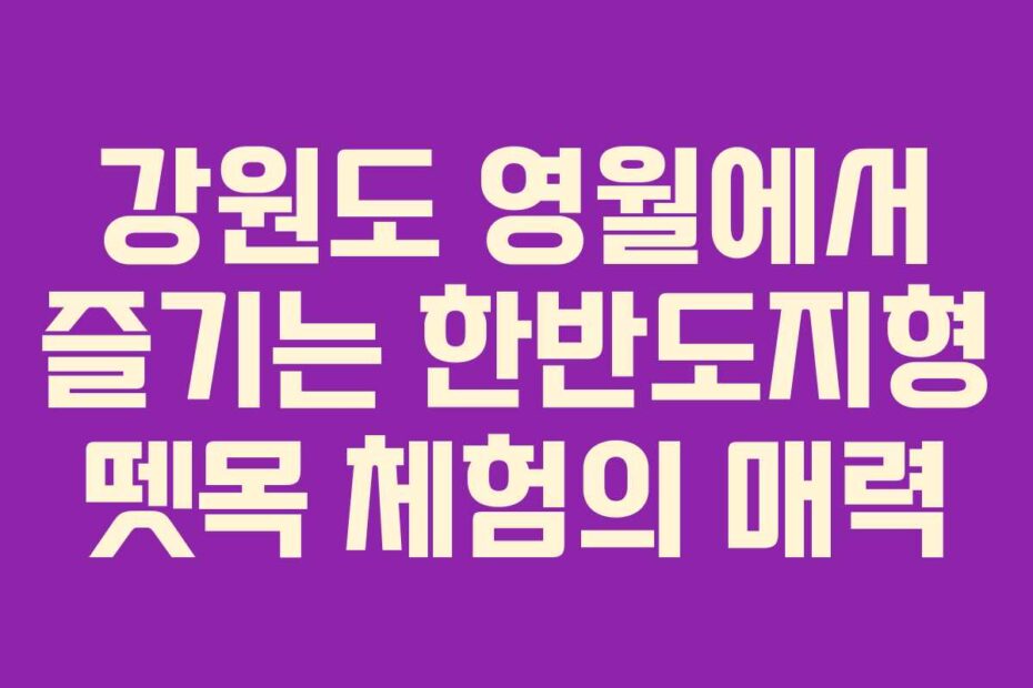 강원도-영월에서-즐기는-한반도지형-뗏목-체험의-매력