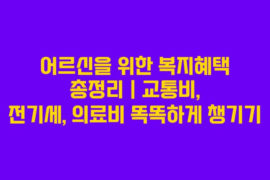 어르신을-위한-복지혜택-총정리-교통비,-전기세,-의료비-똑똑하게-챙기기