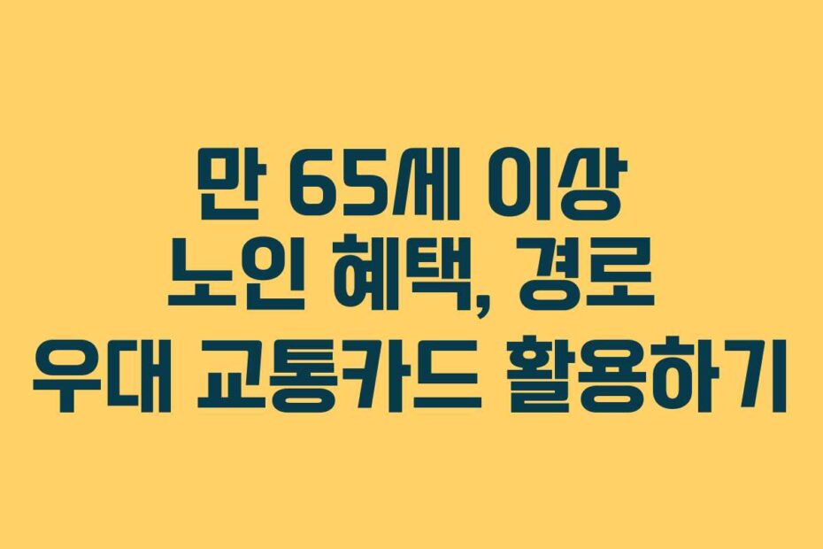 만-65세-이상-노인-혜택,-경로-우대-교통카드-활용하기