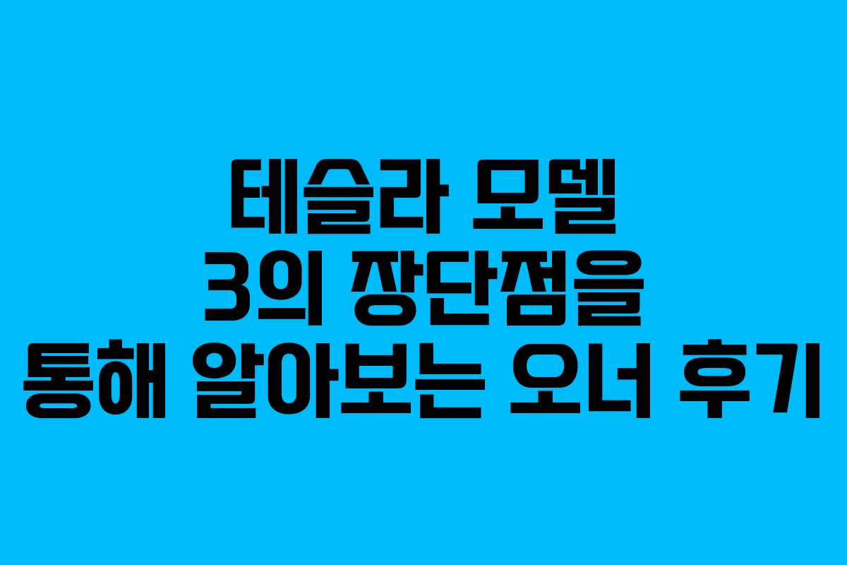 테슬라 모델 3의 장단점을 통해 알아보는 오너 후기