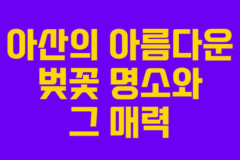 아산의-아름다운-벚꽃-명소와-그-매력