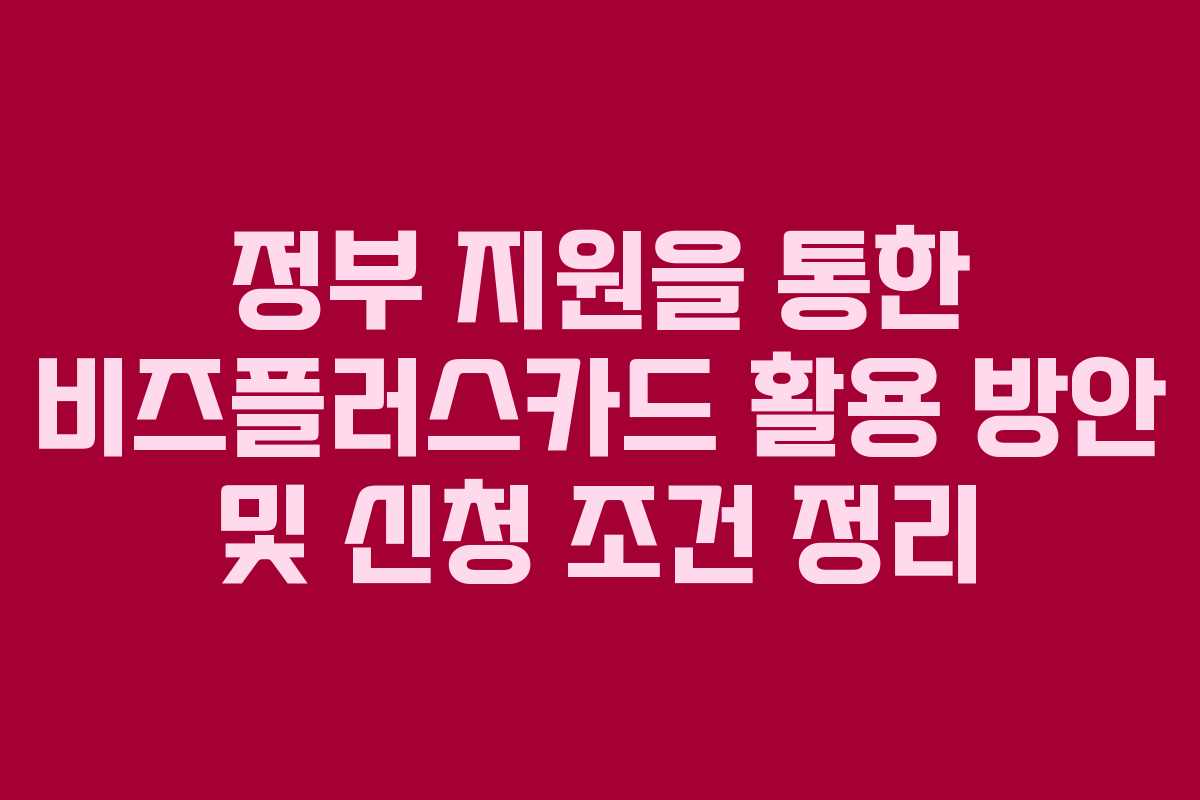정부 지원을 통한 비즈플러스카드 활용 방안 및 신청 조건 정리