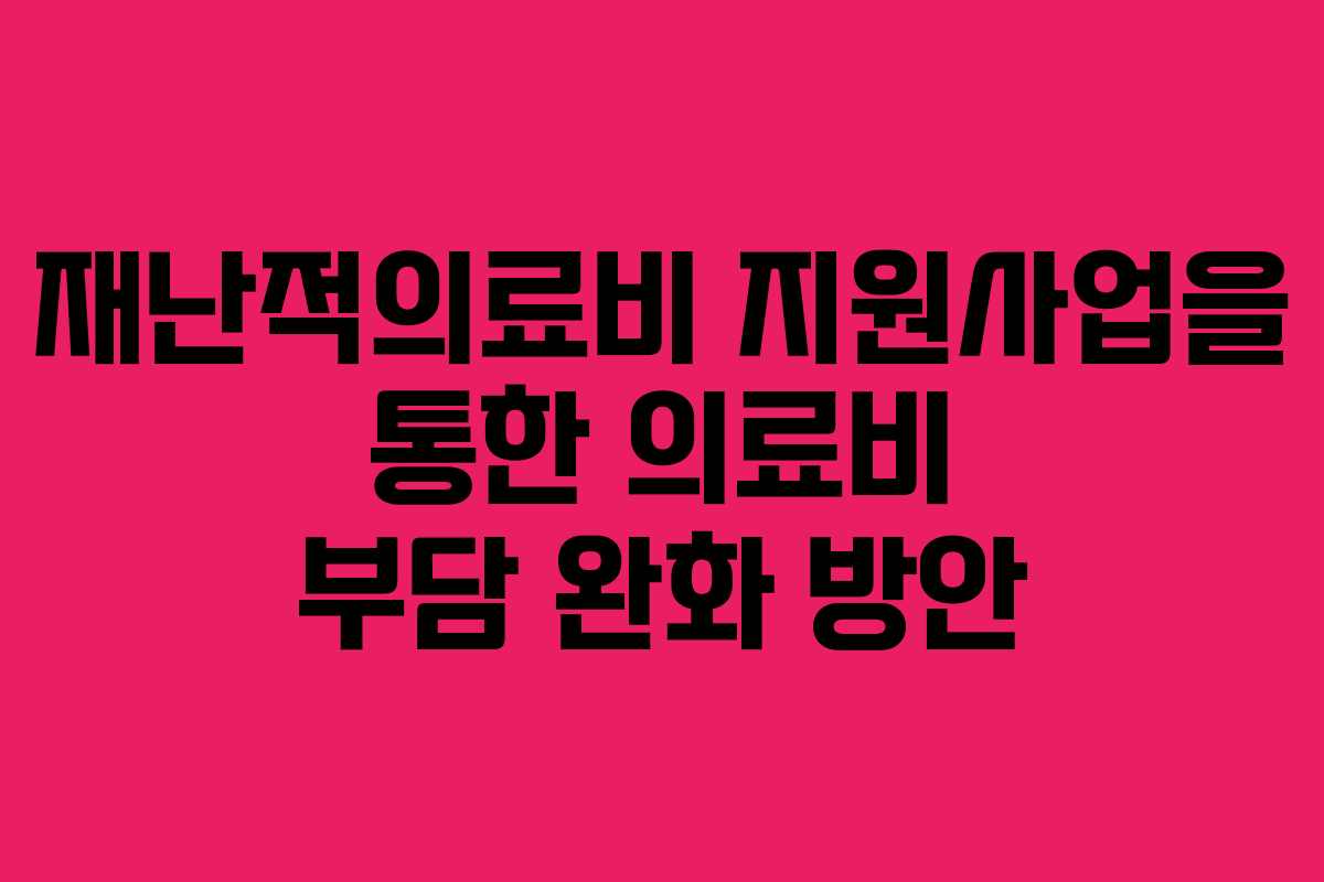 재난적의료비 지원사업을 통한 의료비 부담 완화 방안
