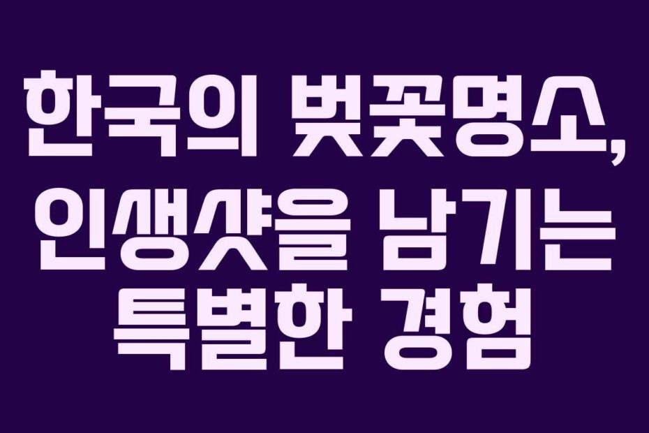 한국의-벚꽃명소,-인생샷을-남기는-특별한-경험