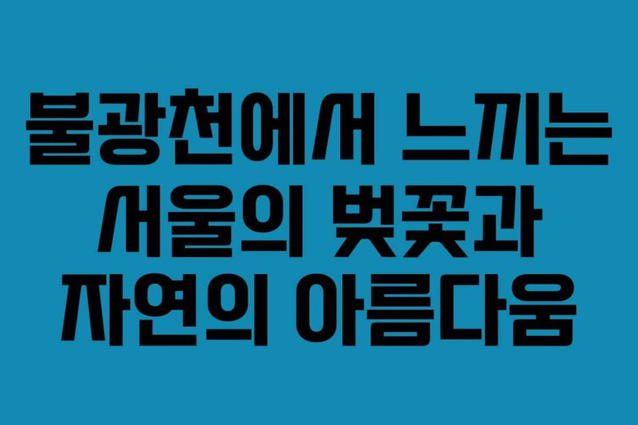 불광천에서-느끼는-서울의-벚꽃과-자연의-아름다움