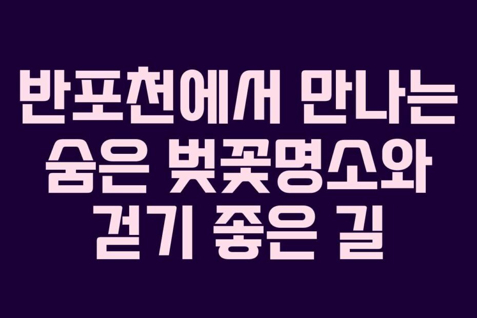 반포천에서-만나는-숨은-벚꽃명소와-걷기-좋은-길