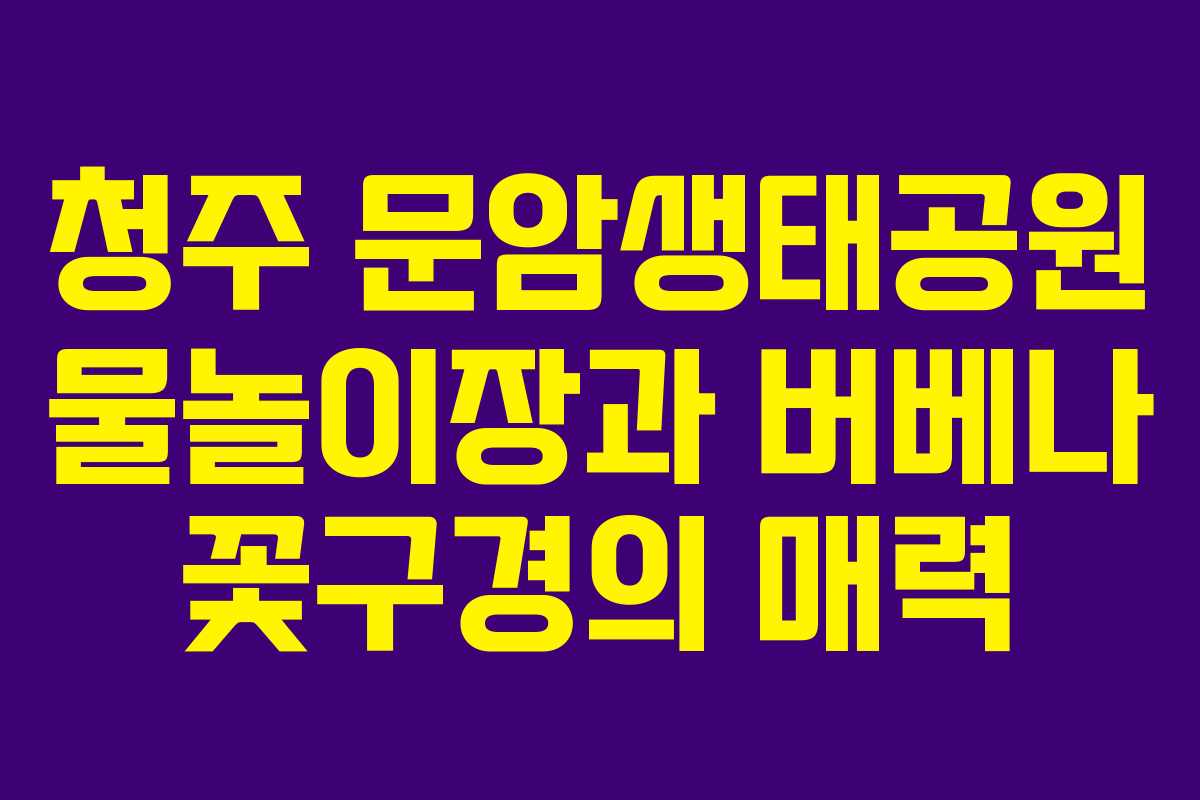 청주 문암생태공원 물놀이장과 버베나 꽃구경의 매력