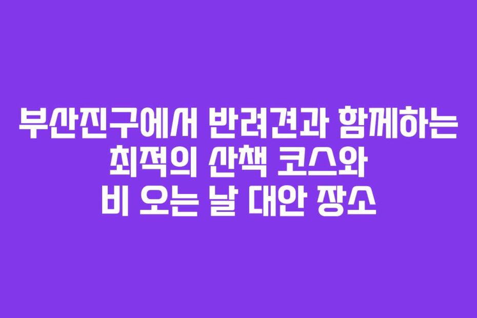 부산진구에서-반려견과-함께하는-최적의-산책-코스와-비-오는-날-대안-장소
