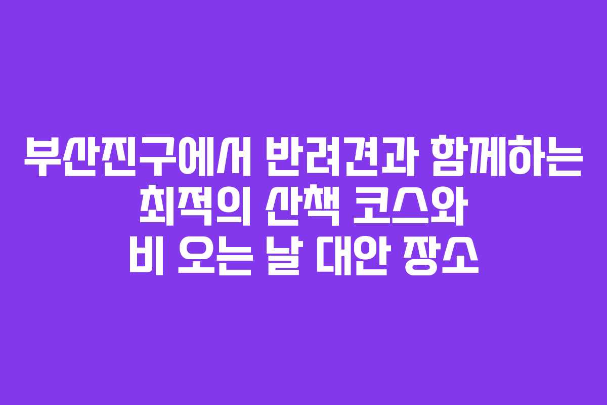 부산진구에서 반려견과 함께하는 최적의 산책 코스와 비 오는 날 대안 장소