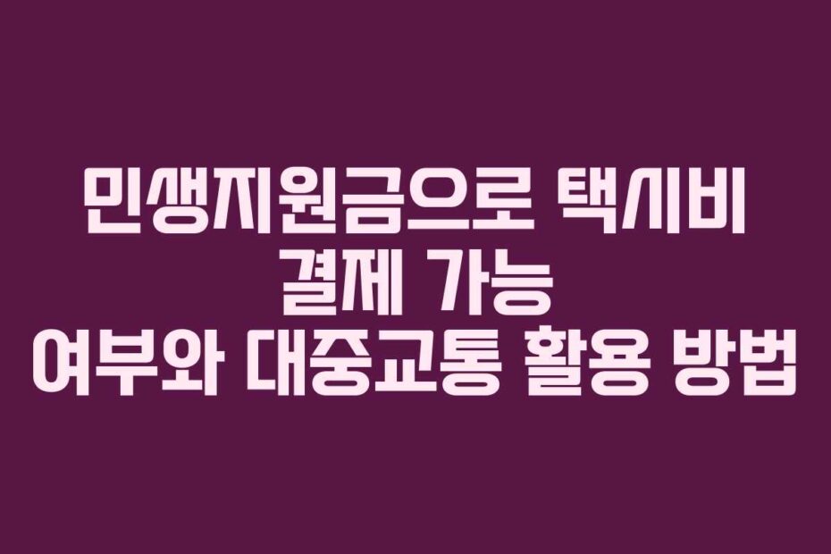 민생지원금으로-택시비-결제-가능-여부와-대중교통-활용-방법