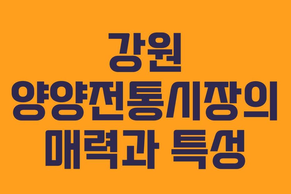 강원-양양전통시장의-매력과-특성