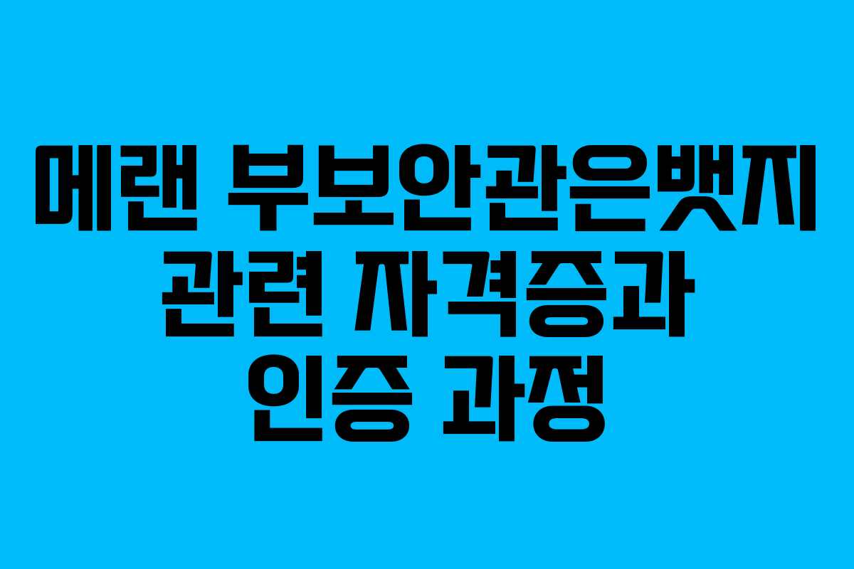 메랜 부보안관은뱃지 관련 자격증과 인증 과정