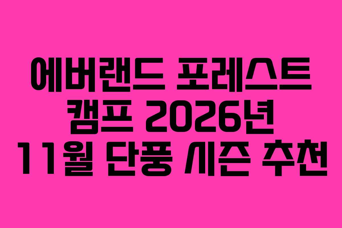 에버랜드-포레스트-캠프-2026년-11월-단풍-시즌-추천