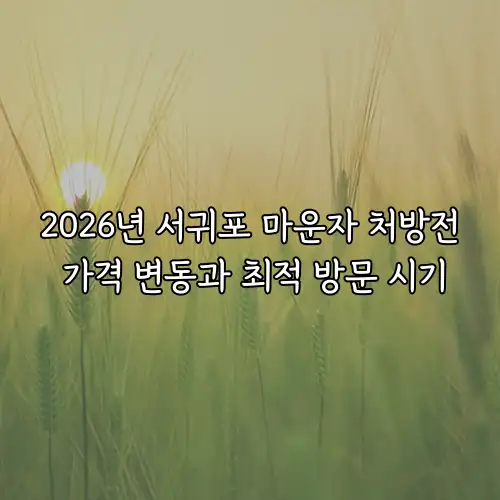 2026년 서귀포 마운자 처방전 가격 변동과 최적 방문 시기
