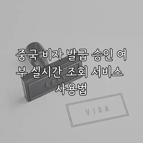 중국 비자 발급 승인 여부 실시간 조회 서비스 사용법
