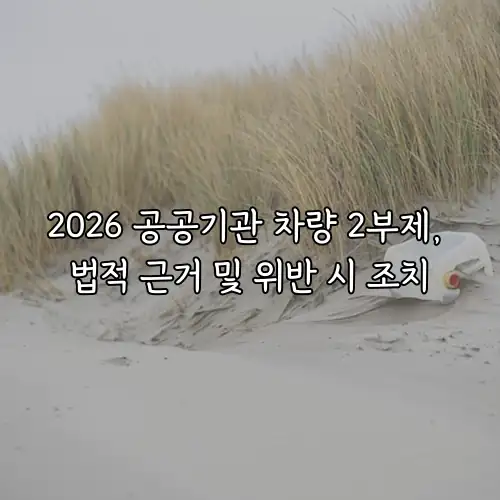 2026 공공기관 차량 2부제, 법적 근거 및 위반 시 조치