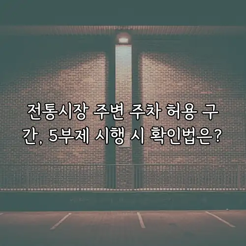 전통시장 주변 주차 허용 구간, 5부제 시행 시 확인법은?